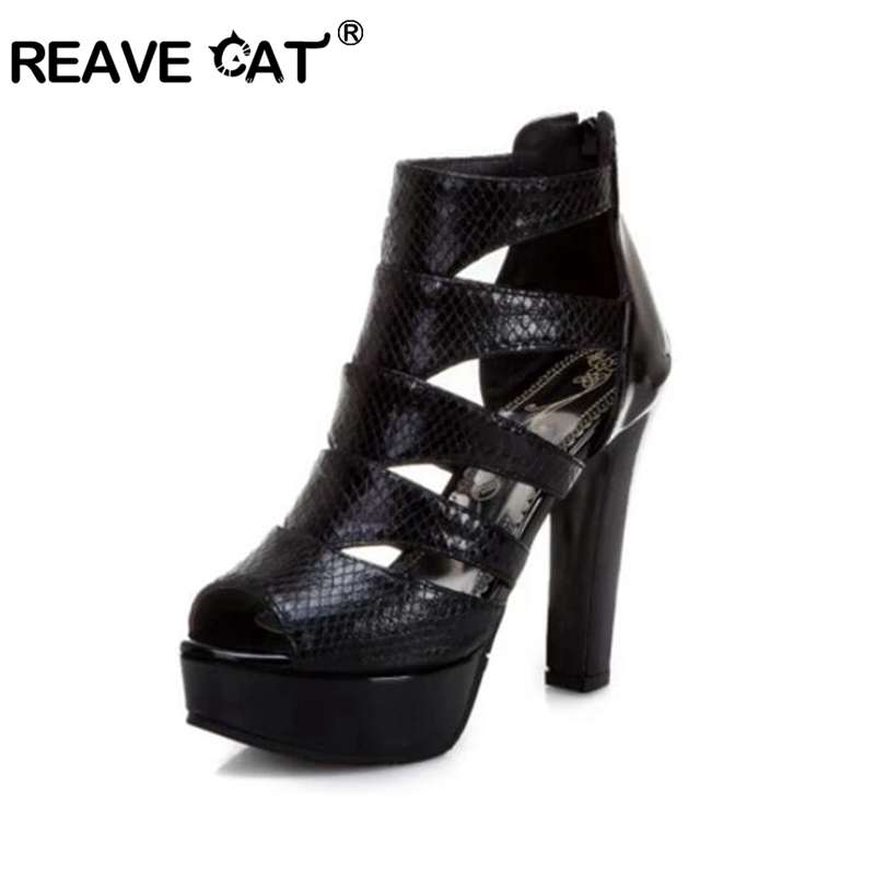 REAVE CAT Sexy Size 34-50 Wome - Chunky Sneaker Platform review and price